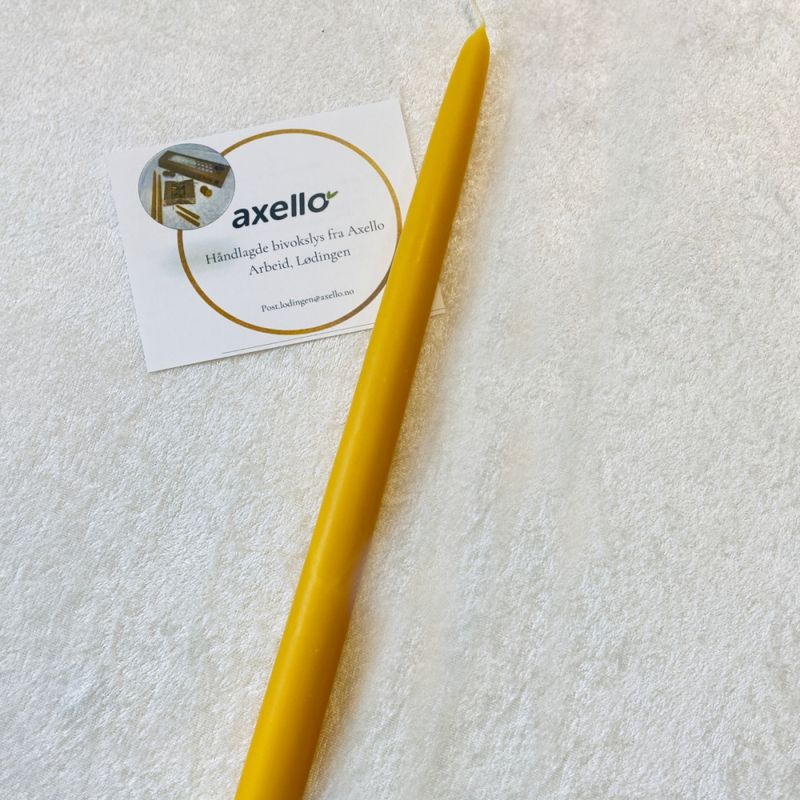 Lange lys bivoks 30 cm Axello Arbeid