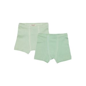 Hovedbilde Loud + Proud 2-pk. bokser gutt lysegr&oslash;nn